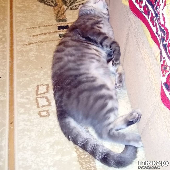 ���� 47: ��� �������� � ��� �����