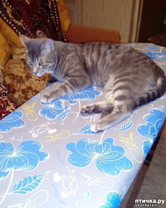 ���� 49: ��� �������� � ��� �����