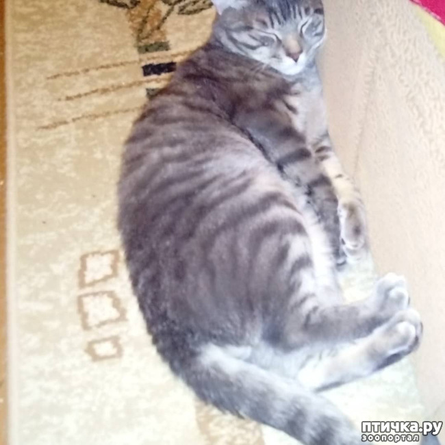 ���� 51: ��� �������� � ��� �����