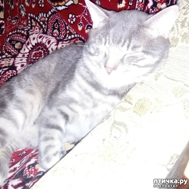 ���� 52: ��� �������� � ��� �����