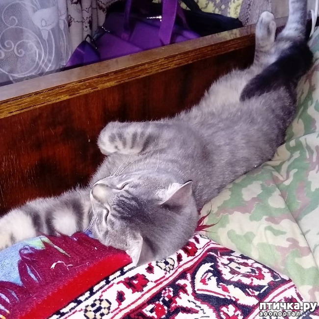 ���� 50: ��� �������� � ��� �����