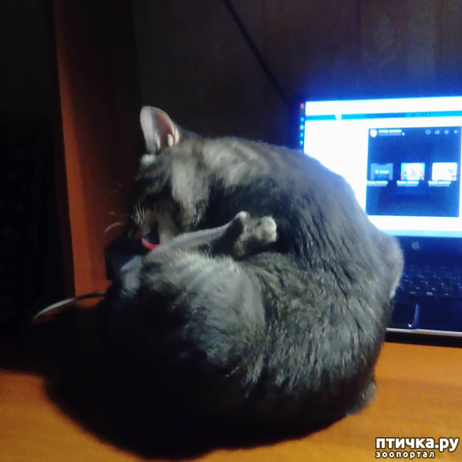 ���� 54: ��� �������� � ��� �����