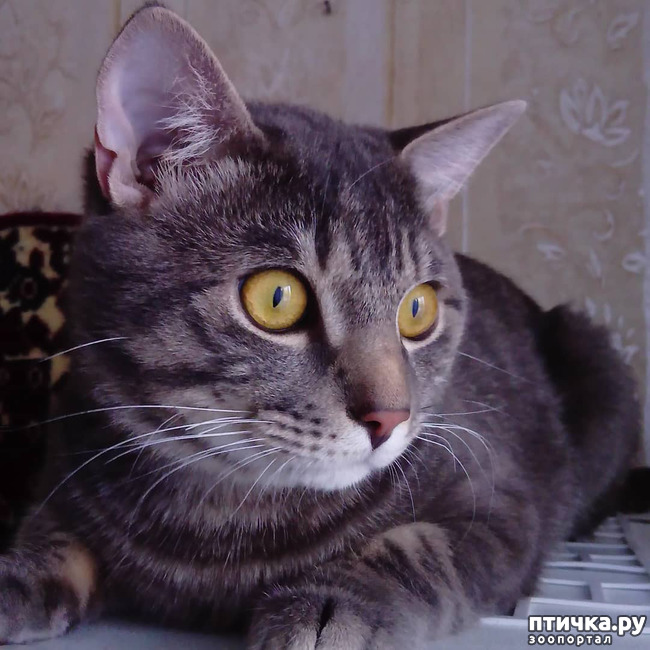 ���� 55: ��� �������� � ��� �����