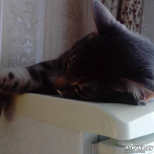 ���� 56: ��� �������� � ��� �����