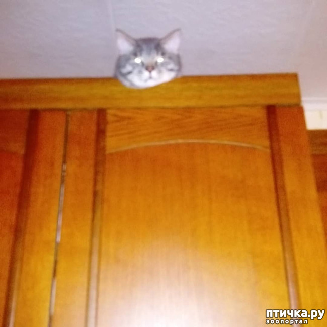 ���� 57: ��� �������� � ��� �����