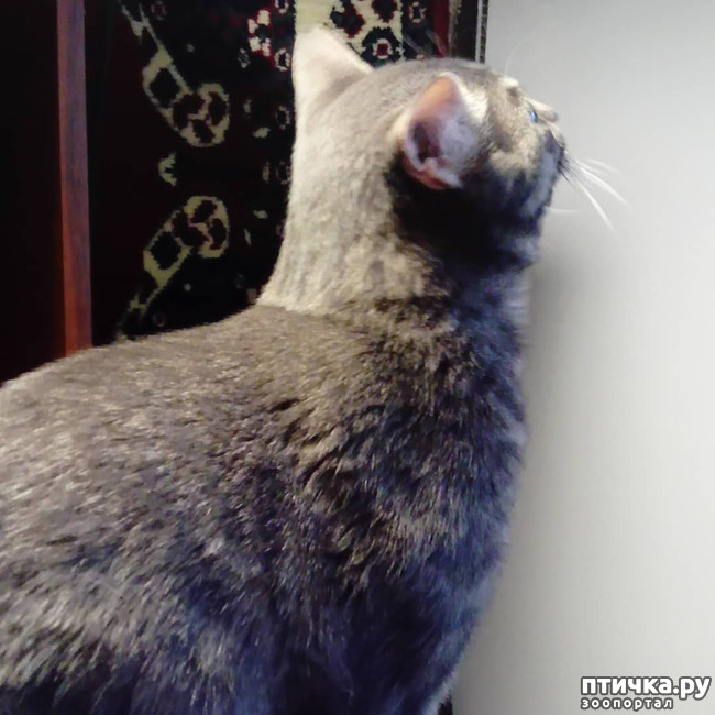 ���� 58: ��� �������� � ��� �����