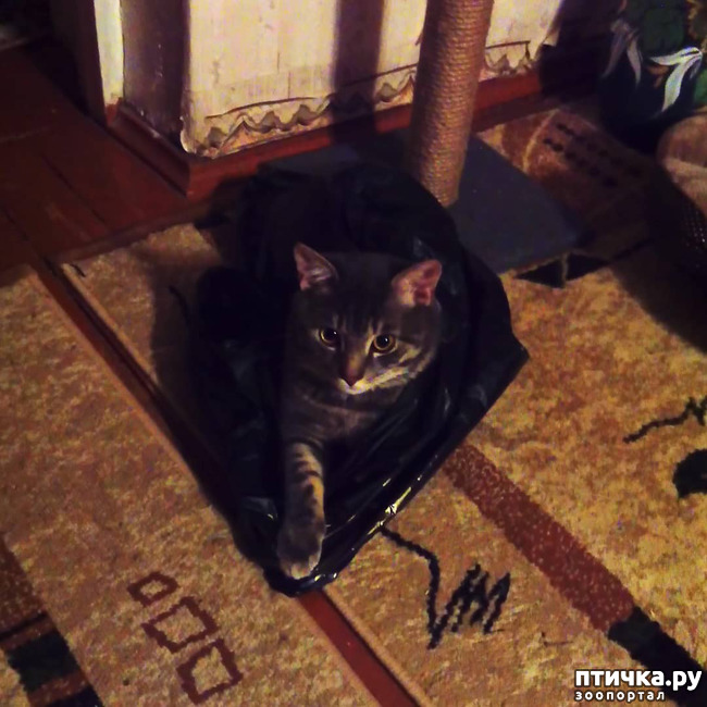 ���� 59: ��� �������� � ��� �����