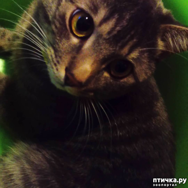 ���� 62: ��� �������� � ��� �����