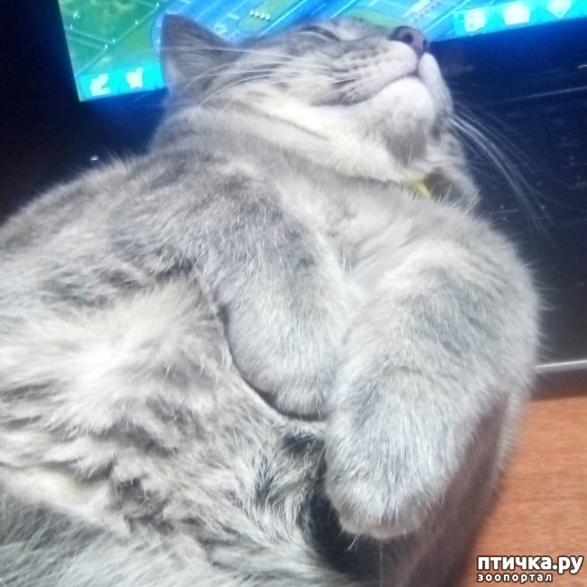 ���� 63: ��� �������� � ��� �����