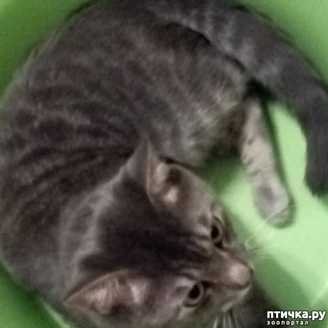 ���� 64: ��� �������� � ��� �����