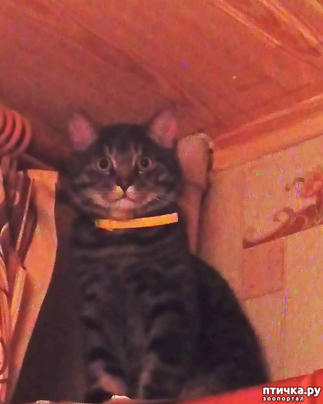 ���� 65: ��� �������� � ��� �����