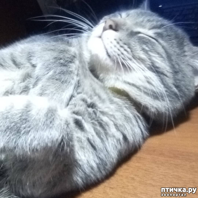 ���� 66: ��� �������� � ��� �����