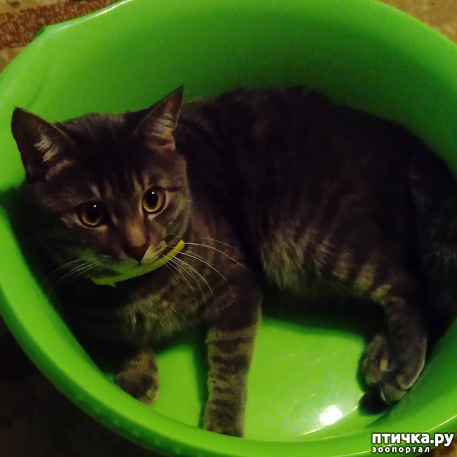 ���� 67: ��� �������� � ��� �����