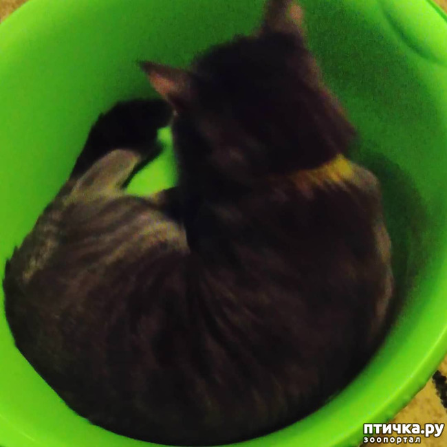 ���� 68: ��� �������� � ��� �����