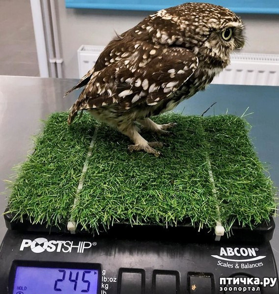 ���� 2: ���-�� ������� ����� ���!