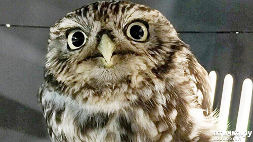 ���� 1: ���-�� ������� ����� ���!