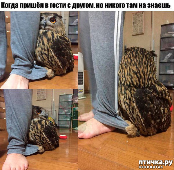 ���� 5: ���� � ������� �����