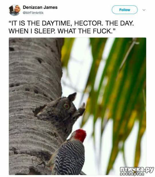 ���� 6: ���� � ������� �����