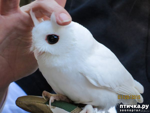 ���� 9: ���� � ������� �����