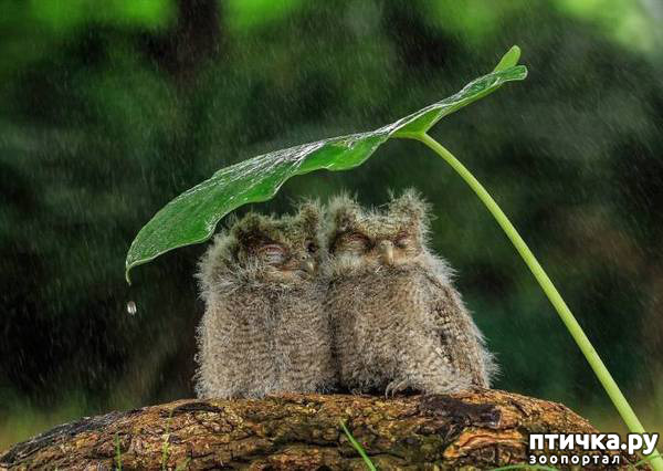 ���� 10: ���� � ������� �����