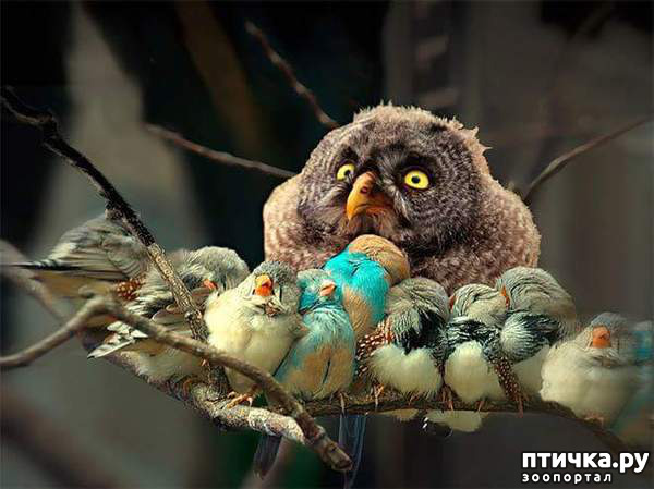 ���� 11: ���� � ������� �����