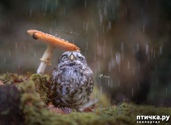 ���� 12: ���� � ������� �����