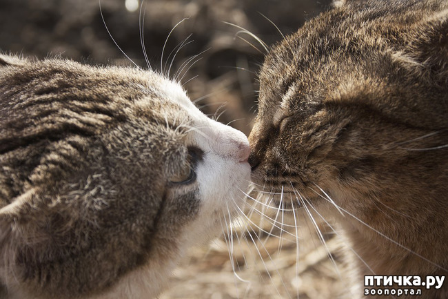 ���� 1: ��� ������� ���������� �� ����� ��� ������� ����� �������� �����