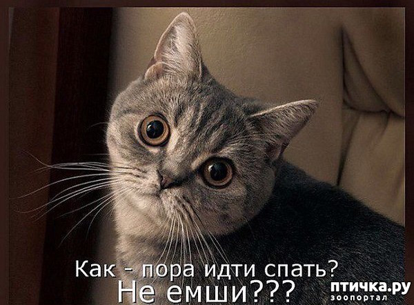 ���� 1: ������� �����