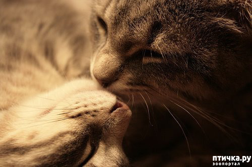 ���� 2: ��� ������� ���������� �� ����� ��� ������� ����� �������� �����