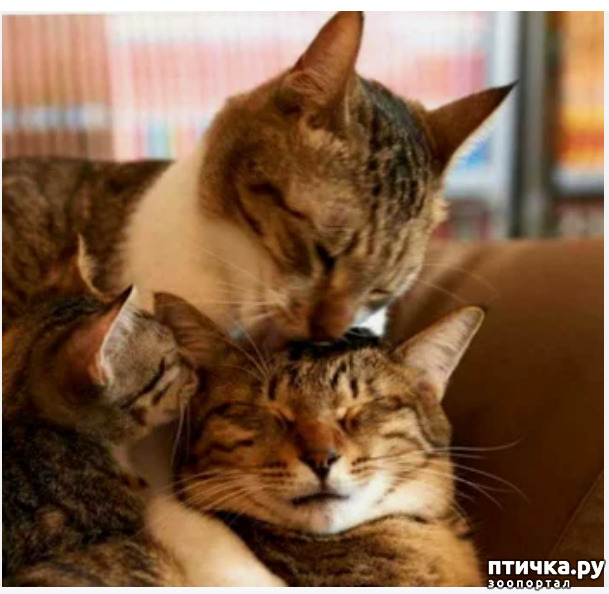 ���� 3: ��� ������� ���������� �� ����� ��� ������� ����� �������� �����