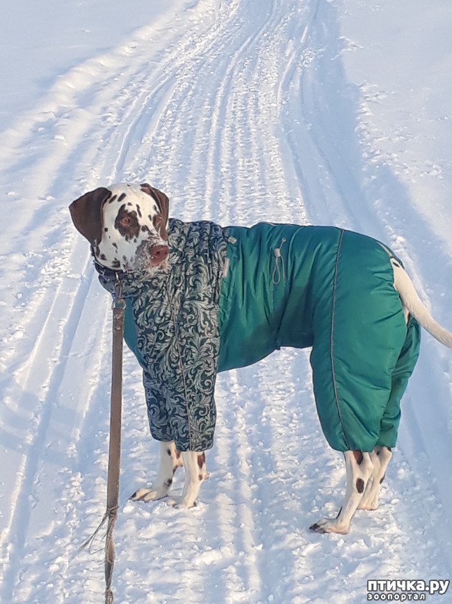 ���� 1: ����� �� �������� ����)))