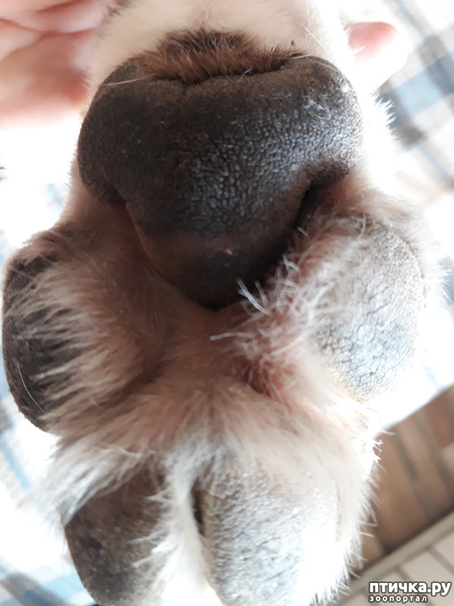 ���� 2: ����� �� �������� ����)))