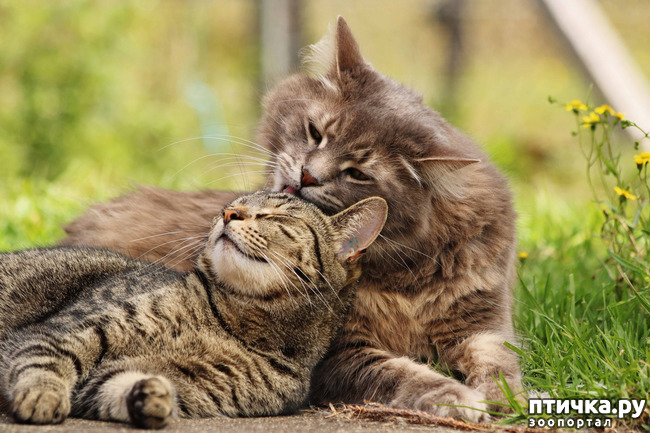 ���� 5: ��� ������� ���������� �� ����� ��� ������� ����� �������� �����