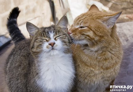 ���� 6: ��� ������� ���������� �� ����� ��� ������� ����� �������� �����