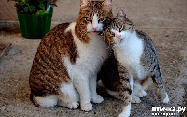 ���� 7: ��� ������� ���������� �� ����� ��� ������� ����� �������� �����