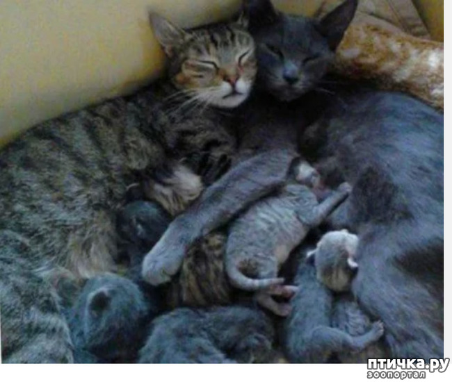 ���� 8: ��� ������� ���������� �� ����� ��� ������� ����� �������� �����