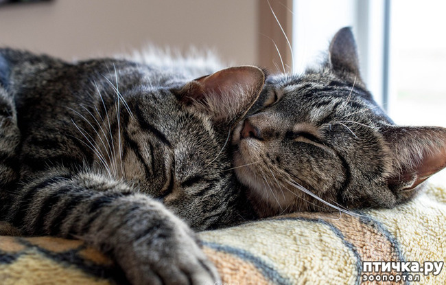 ���� 9: ��� ������� ���������� �� ����� ��� ������� ����� �������� �����