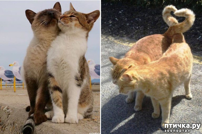 ���� 10: ��� ������� ���������� �� ����� ��� ������� ����� �������� �����