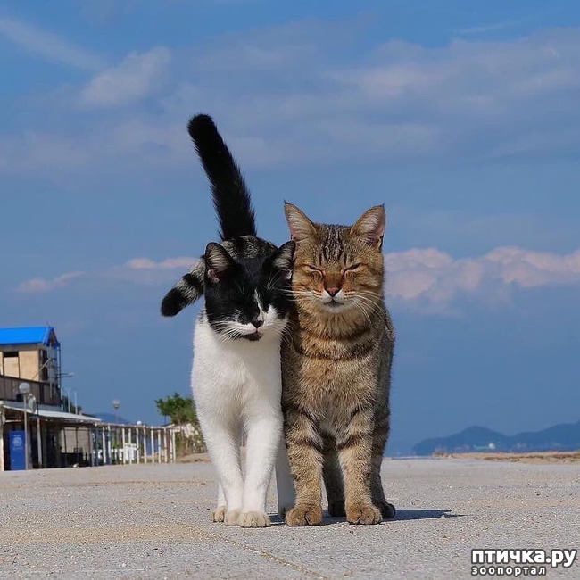 ���� 14: ��� ������� ���������� �� ����� ��� ������� ����� �������� �����