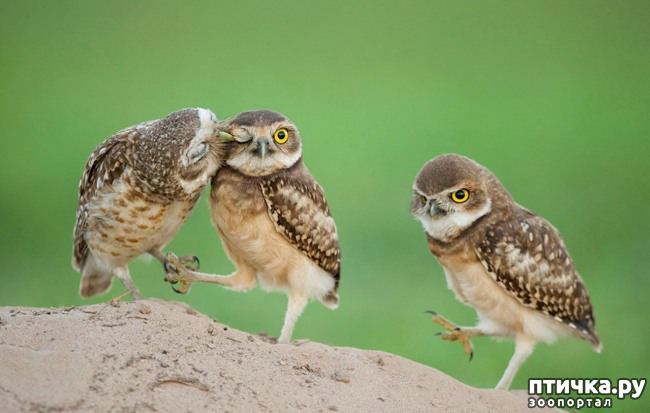 ���� 3: ���� � ������� �����