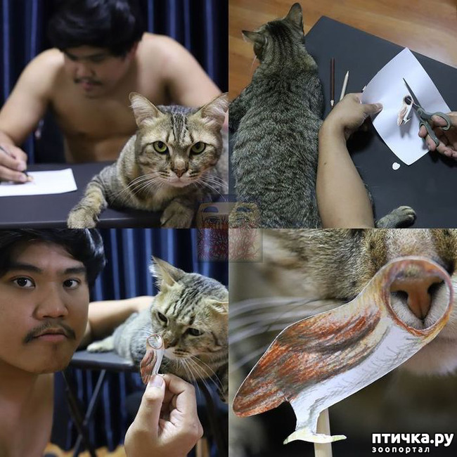 ���� 2: ���� � ������� �����