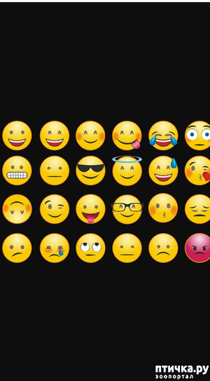 ����: � ����������� ���������