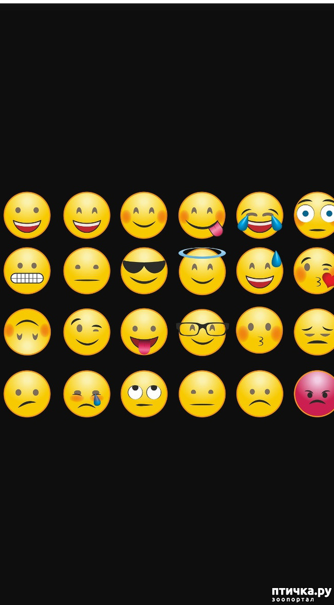 ���� 1: � ����������� ���������