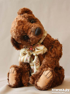 ����: � ���, ��� ������� ������� �������� � �����.