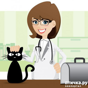 ����: ����� �������� ����� � �����...