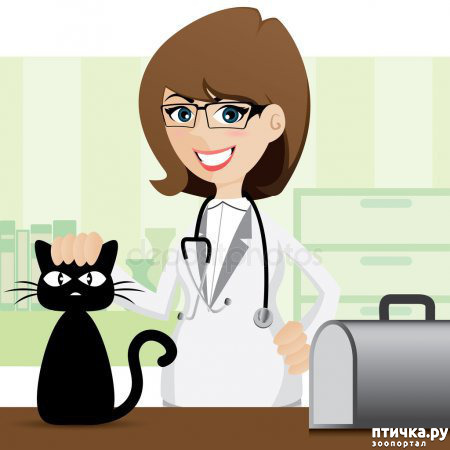 ���� 1: ����� �������� ����� � �����...