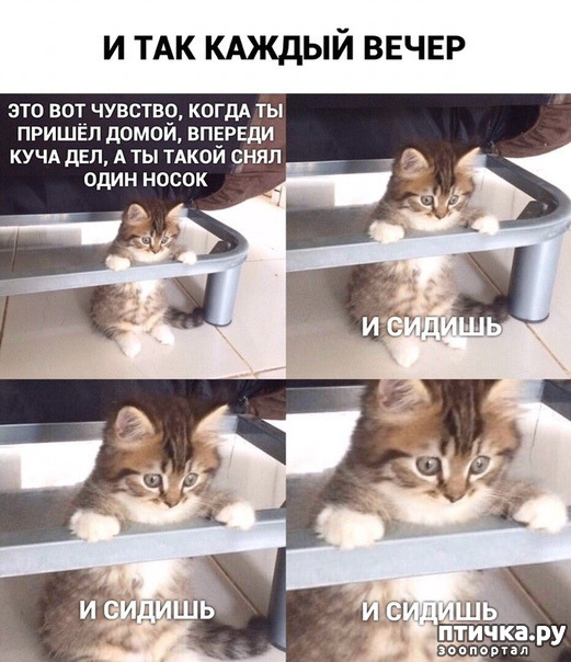 ���� 1: ��������