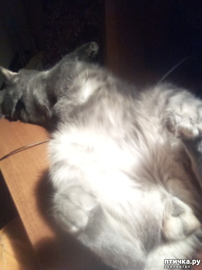 ���� 3: ����� �������