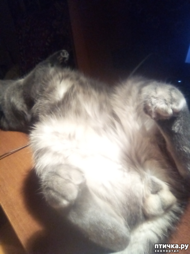 ���� 2: ����� �������