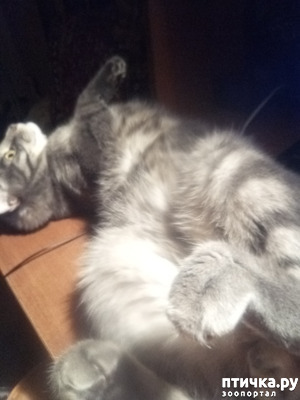 ����: ����� �������